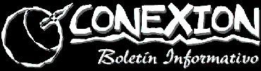 Conexion Boletin Informativo