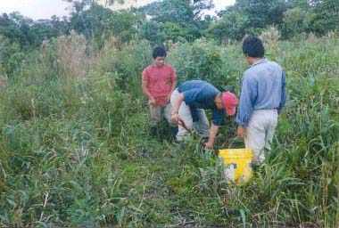 Preparacin del Terreno y Trazado del Mdulo 