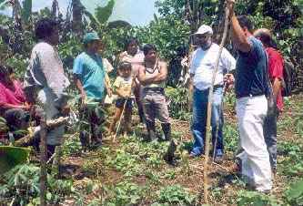 visita del Director del Programa Agroforestal de POEMAR  Brasil