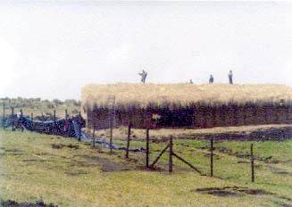 Corral y galpn para alpacas 