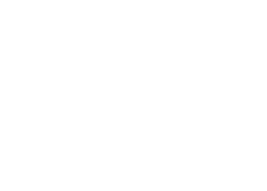 Logo Spiritus